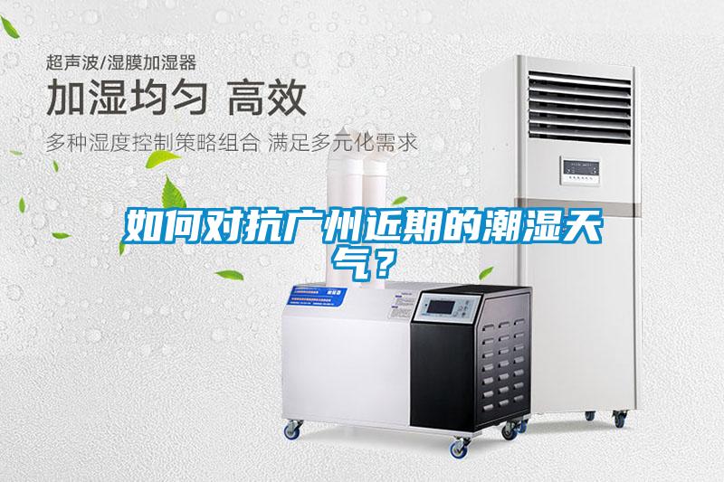 如何對(duì)抗廣州近期的潮濕天氣？