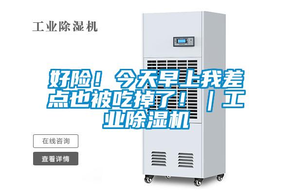 好險！今天早上我差點也被吃掉了?。I(yè)除濕機