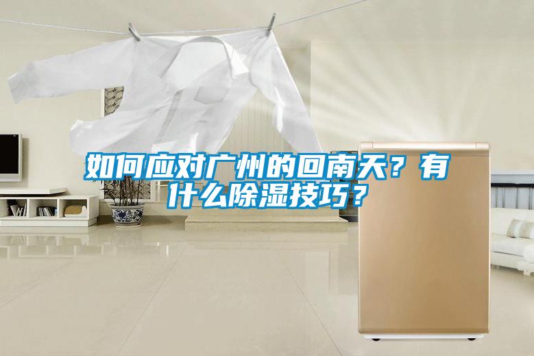 如何應(yīng)對(duì)廣州的回南天？有什么除濕技巧？
