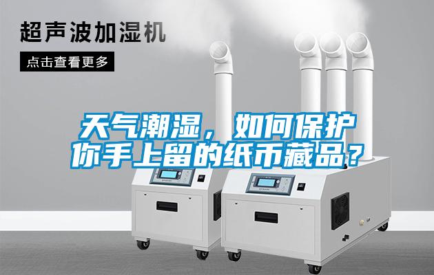 天氣潮濕，如何保護你手上留的紙幣藏品？
