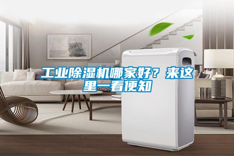 工業(yè)除濕機哪家好？來這里一看便知