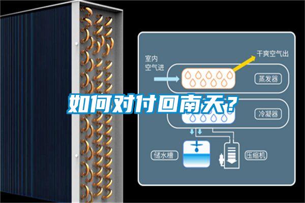 如何對(duì)付回南天？