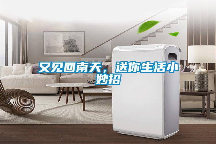 又見回南天，送你生活小妙招