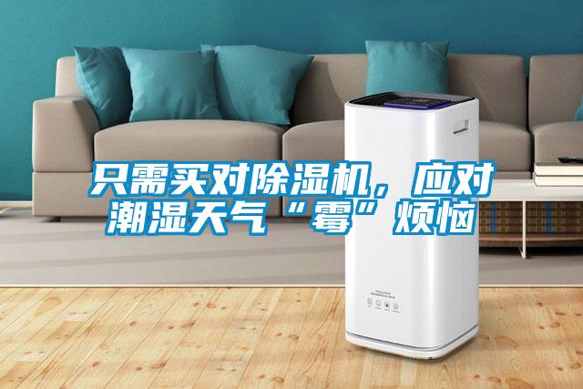 只需買對(duì)除濕機(jī)，應(yīng)對(duì)潮濕天氣“霉”煩惱