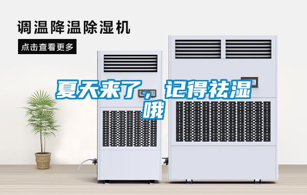 夏天來了，記得祛濕哦
