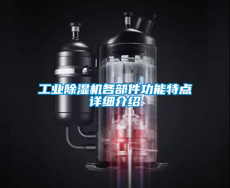 工業(yè)除濕機(jī)各部件功能特點(diǎn)詳細(xì)介紹