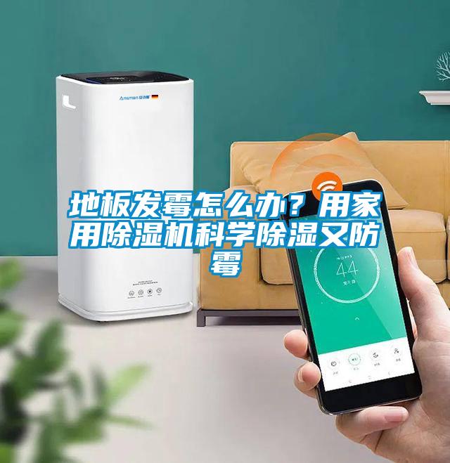 地板發(fā)霉怎么辦？用家用除濕機科學除濕又防霉