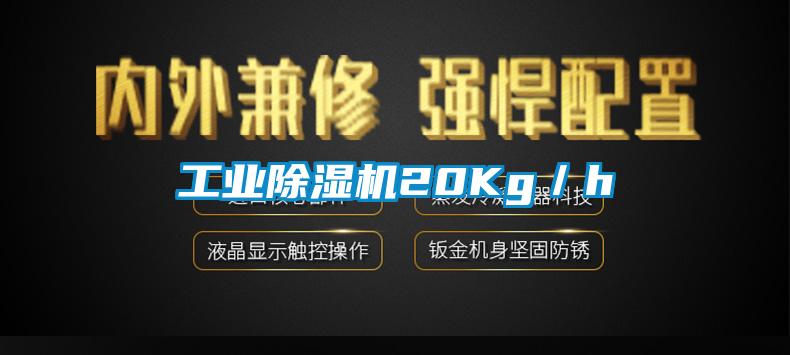 工業(yè)除濕機20Kg／h