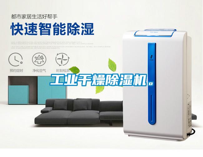 工業(yè)干燥除濕機。