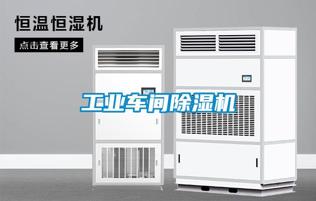 工業(yè)車間除濕機