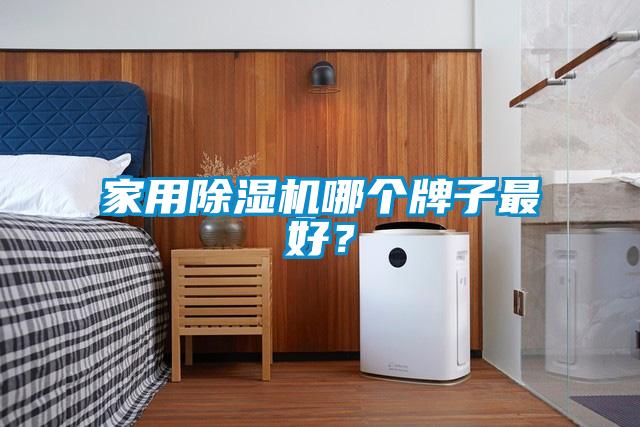 家用除濕機(jī)哪個(gè)牌子最好？