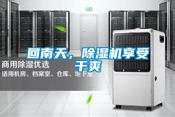 回南天，除濕機享受干爽