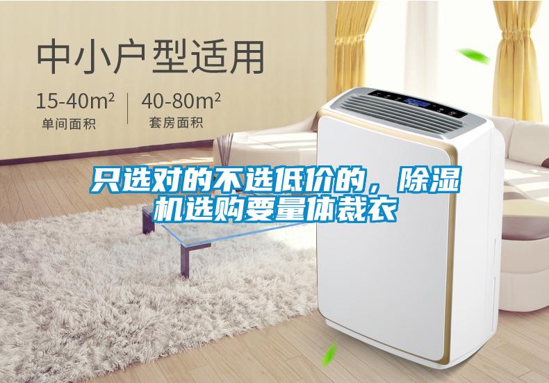 只選對的不選低價(jià)的，除濕機(jī)選購要量體裁衣