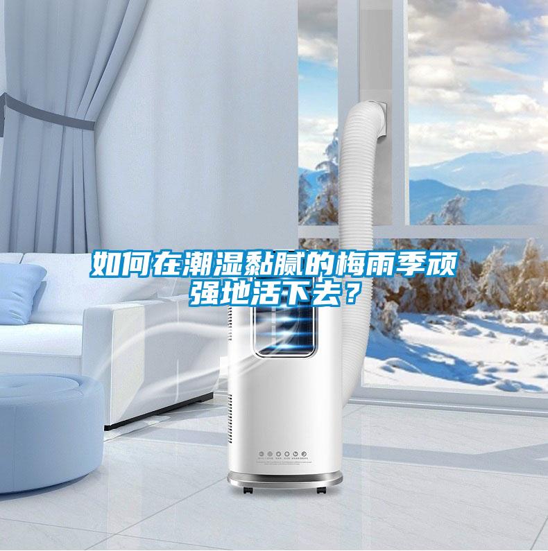 如何在潮濕黏膩的梅雨季頑強(qiáng)地活下去？