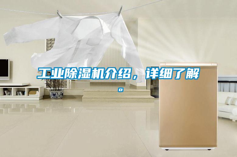 工業(yè)除濕機(jī)介紹，詳細(xì)了解。
