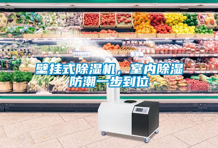 壁掛式除濕機(jī)，室內(nèi)除濕防潮一步到位