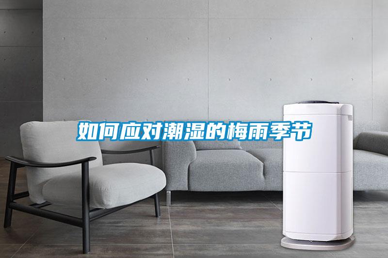 如何應對潮濕的梅雨季節(jié)