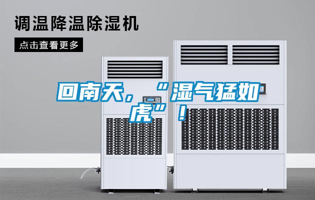 回南天，“濕氣猛如虎”！