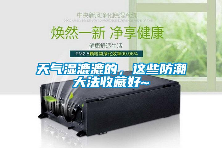 天氣濕漉漉的，這些防潮大法收藏好~