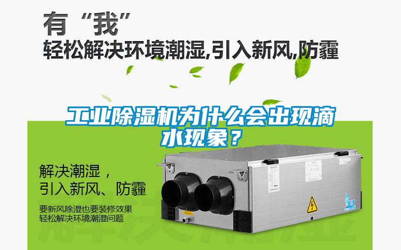 工業(yè)除濕機(jī)為什么會(huì)出現(xiàn)滴水現(xiàn)象？