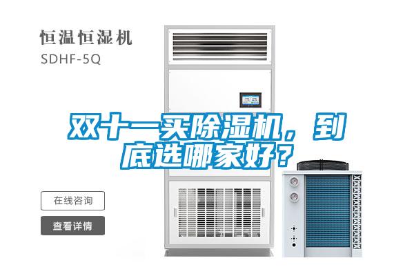 雙十一買除濕機，到底選哪家好？