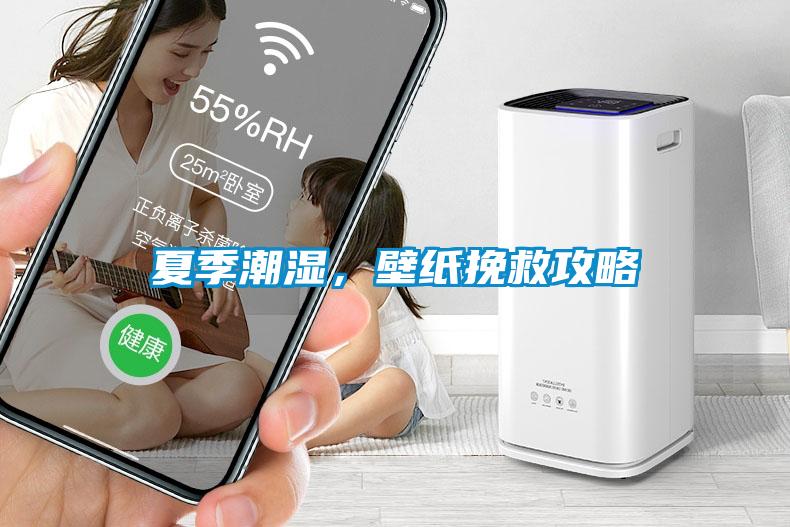 夏季潮濕，壁紙挽救攻略