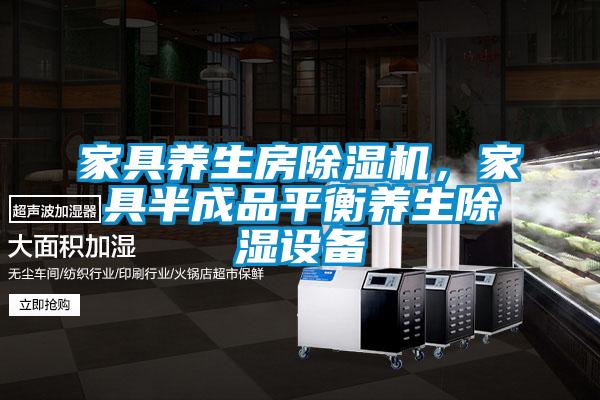 家具養(yǎng)生房除濕機(jī)，家具半成品平衡養(yǎng)生除濕設(shè)備