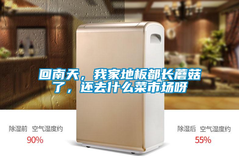 回南天，我家地板都長蘑菇了，還去什么菜市場呀