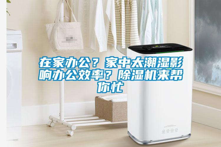 在家辦公？家中太潮濕影響辦公效率？除濕機(jī)來幫你忙