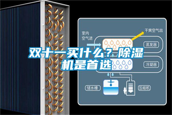 雙十一買什么？除濕機(jī)是首選