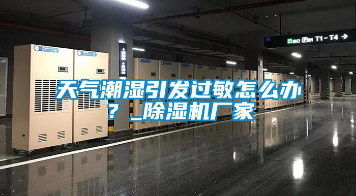 天氣潮濕引發(fā)過敏怎么辦？_除濕機(jī)廠家