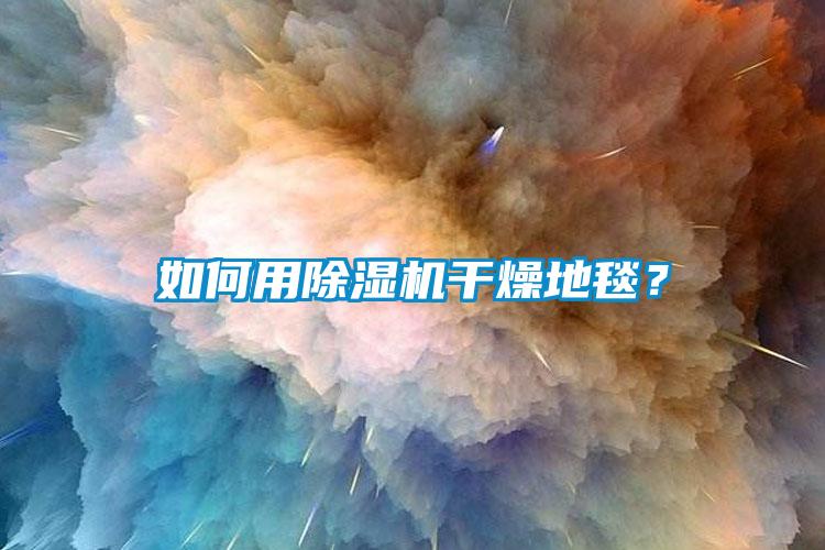 如何用除濕機(jī)干燥地毯？