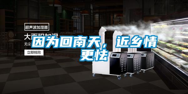 因?yàn)榛啬咸?，近鄉(xiāng)情更怯