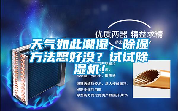 天氣如此潮濕，除濕方法想好沒？試試除濕機(jī)！