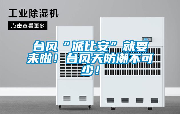 臺風“派比安”就要來啦！臺風天防潮不可少！