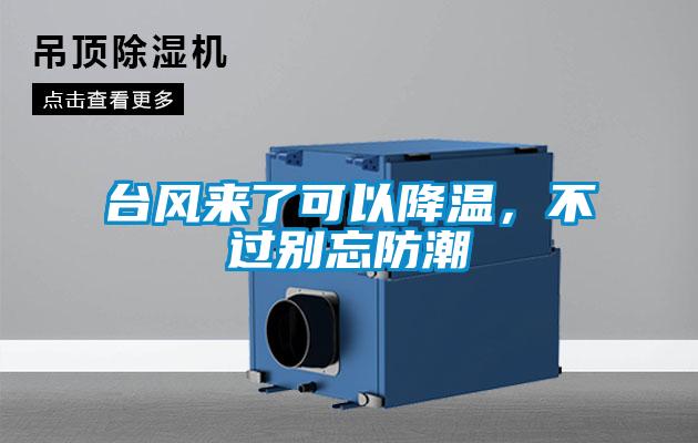 臺(tái)風(fēng)來(lái)了可以降溫，不過(guò)別忘防潮