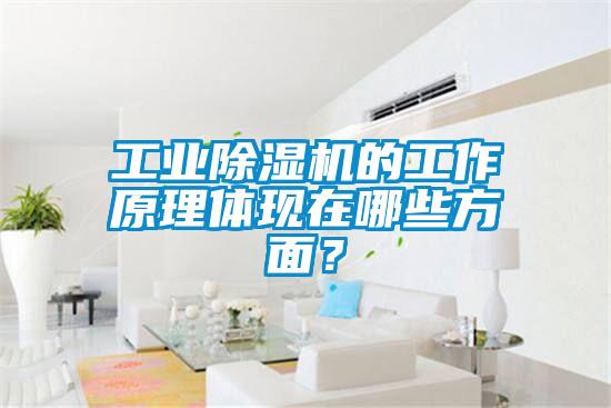 工業(yè)除濕機的工作原理體現(xiàn)在哪些方面？