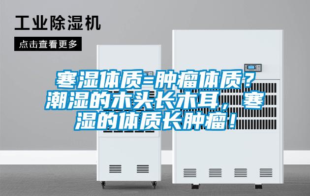 寒濕體質(zhì)=腫瘤體質(zhì)？潮濕的木頭長木耳，寒濕的體質(zhì)長腫瘤！