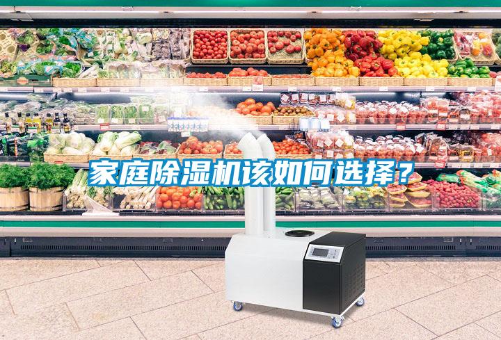 家庭除濕機該如何選擇?