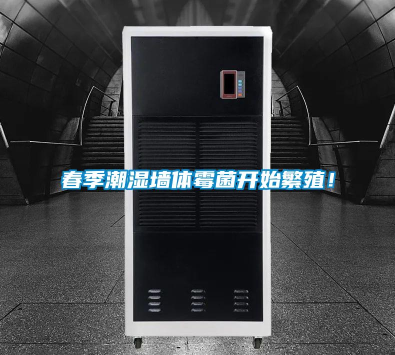 春季潮濕墻體霉菌開始繁殖！