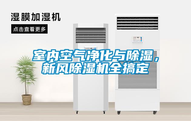 室內(nèi)空氣凈化與除濕，新風(fēng)除濕機(jī)全搞定