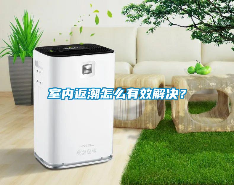 室內(nèi)返潮怎么有效解決？