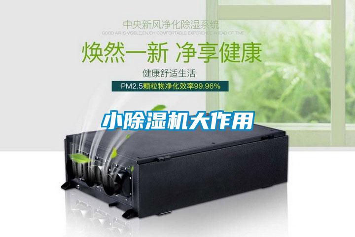 小除濕機大作用