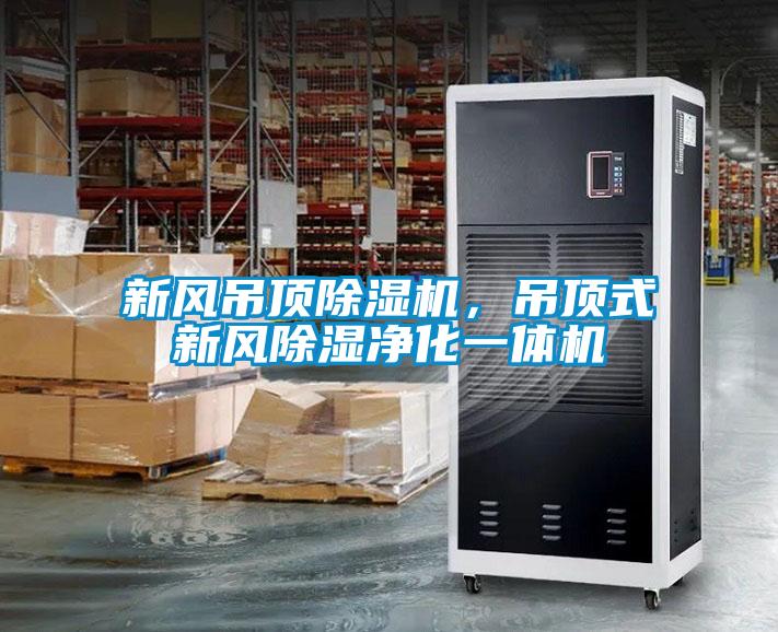 新風吊頂除濕機，吊頂式新風除濕凈化一體機