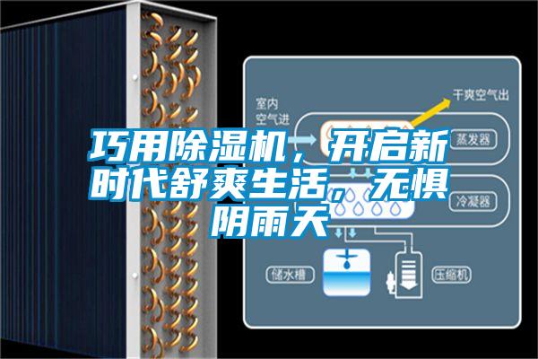 巧用除濕機，開啟新時代舒爽生活，無懼陰雨天
