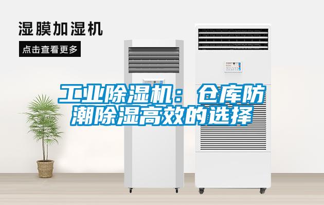 工業(yè)除濕機(jī)：倉(cāng)庫(kù)防潮除濕高效的選擇