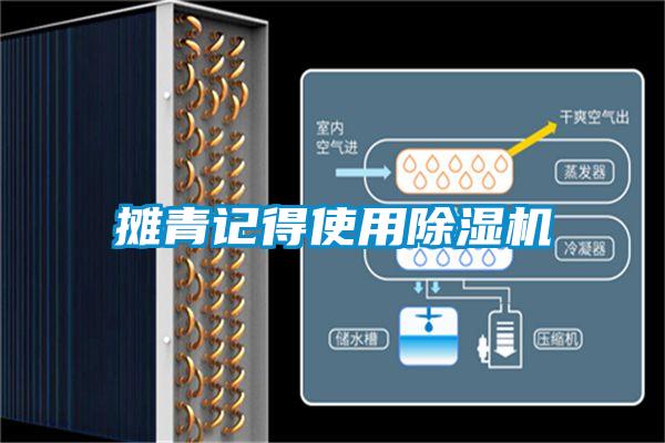 攤青記得使用除濕機(jī)