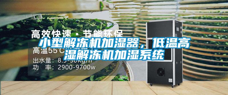 小型解凍機(jī)加濕器，低溫高濕解凍機(jī)加濕系統(tǒng)