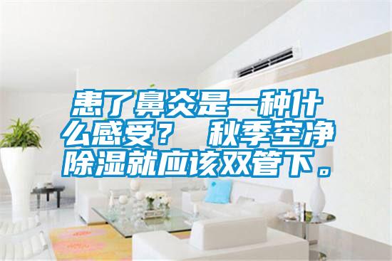 患了鼻炎是一種什么感受？ 秋季空凈除濕就應(yīng)該雙管下。