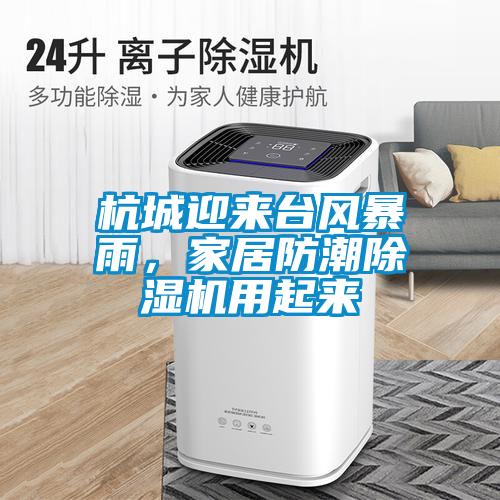 杭城迎來臺風暴雨，家居防潮除濕機用起來
